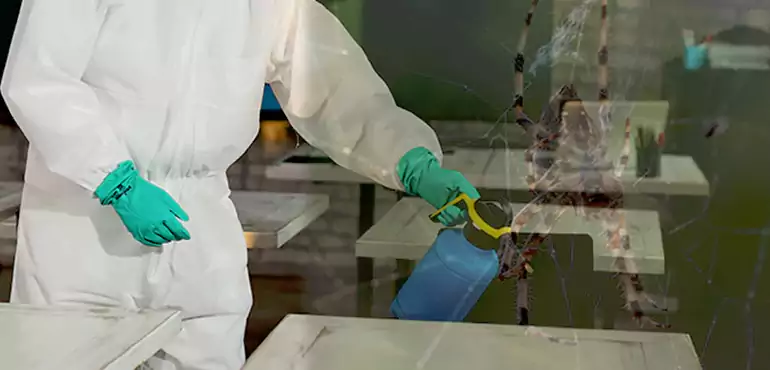 Why Buyers Still Want Homes With Pest Infestations in Fairbanks, AK?