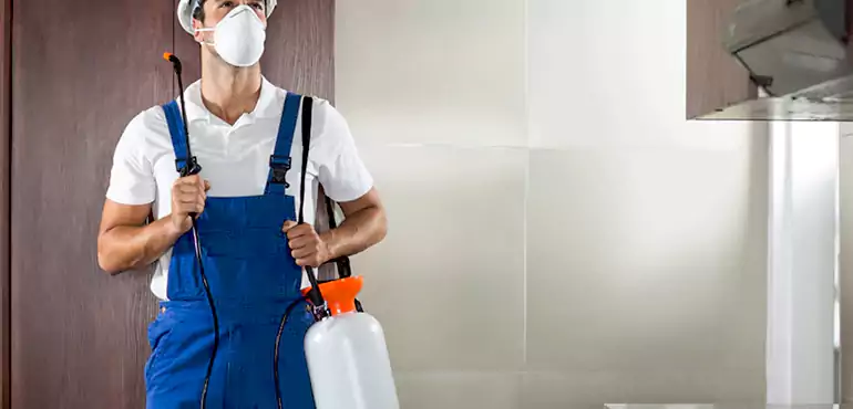 Why Fairbanks Homeowners Choose Us When Pests Make Selling Difficult