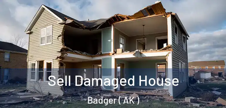  Sell Damaged House Badger ( AK )