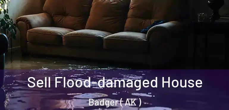  Sell Flood-damaged House Badger ( AK )