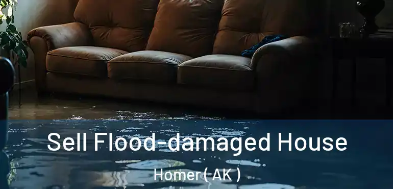  Sell Flood-damaged House Homer ( AK )