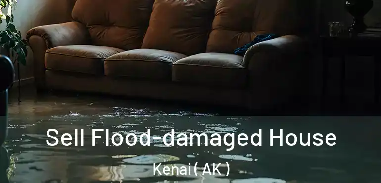  Sell Flood-damaged House Kenai ( AK )