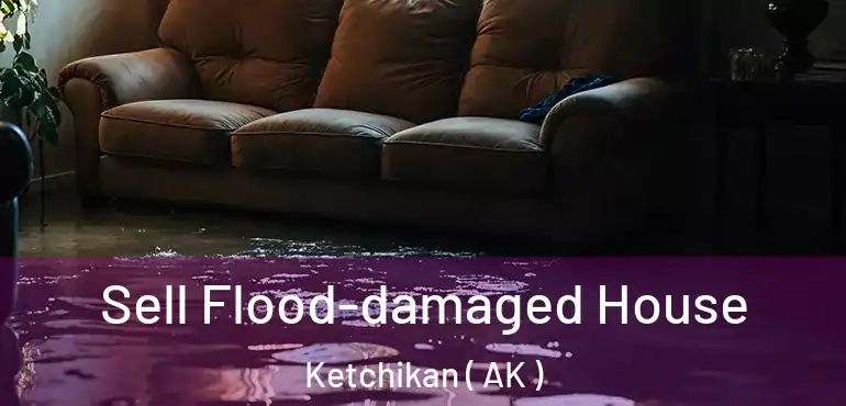  Sell Flood-damaged House Ketchikan ( AK )