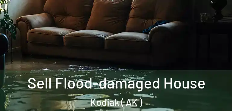  Sell Flood-damaged House Kodiak ( AK )