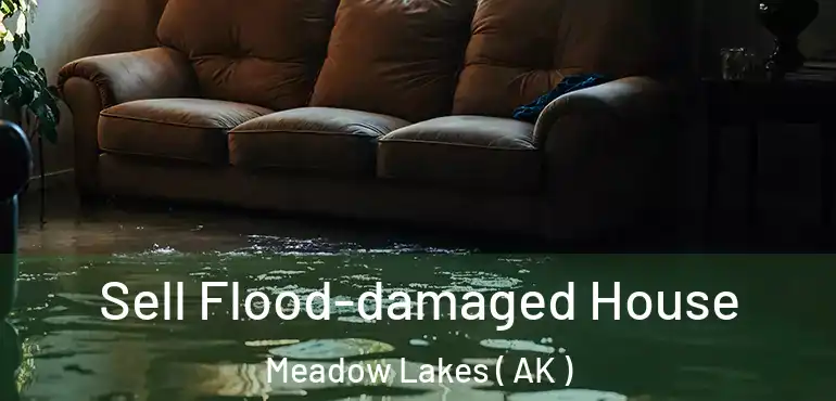 Sell Flood-damaged House Meadow Lakes ( AK )