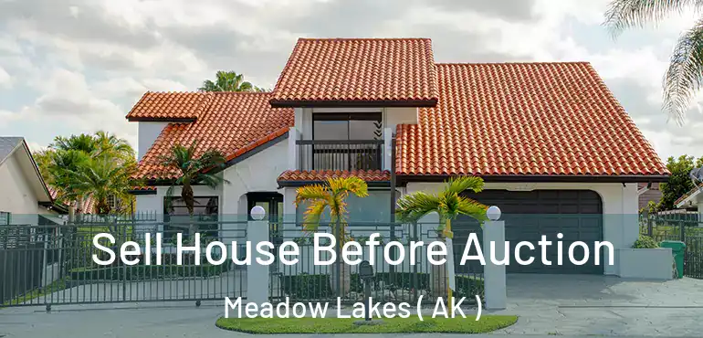 Sell House Before Auction Meadow Lakes ( AK )