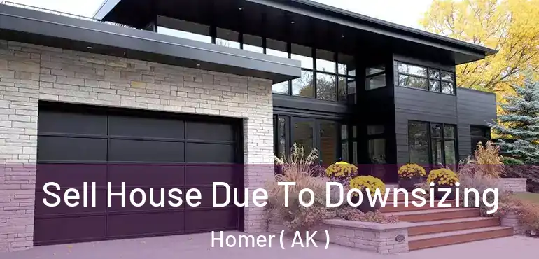  Sell House Due To Downsizing Homer ( AK )