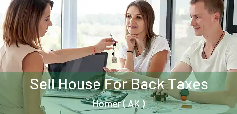 Sell House For Back Taxes Homer ( AK )