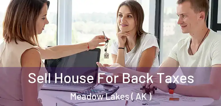 Sell House For Back Taxes Meadow Lakes ( AK )