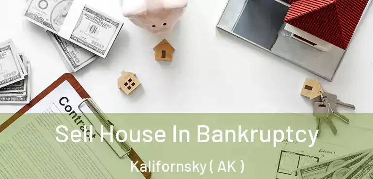  Sell House In Bankruptcy Kalifornsky ( AK )