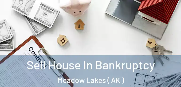 Sell House In Bankruptcy Meadow Lakes ( AK )