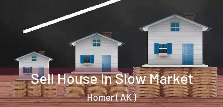  Sell House In Slow Market Homer ( AK )