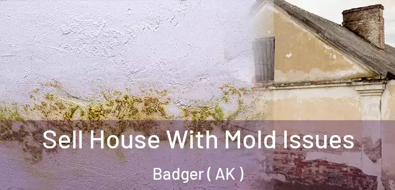  Sell House With Mold Issues Badger ( AK )
