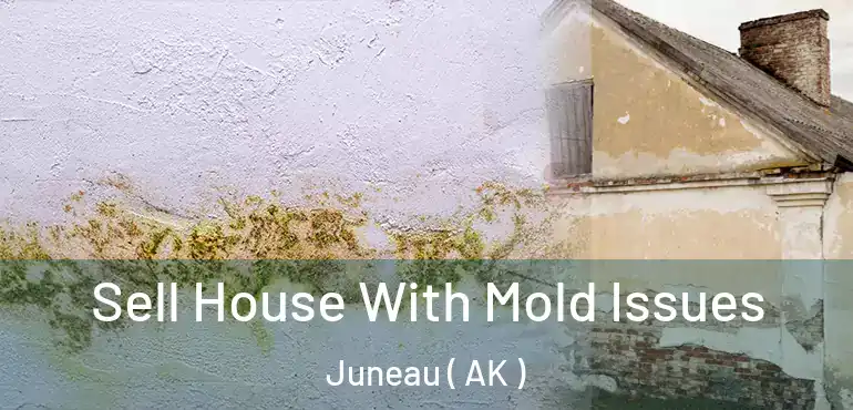 Sell House With Mold Issues Juneau ( AK )