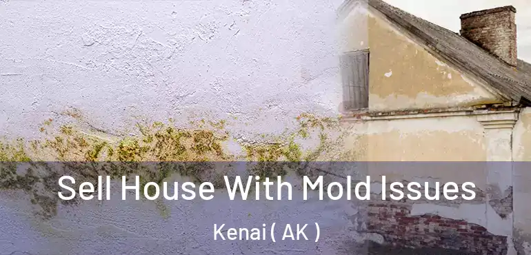  Sell House With Mold Issues Kenai ( AK )