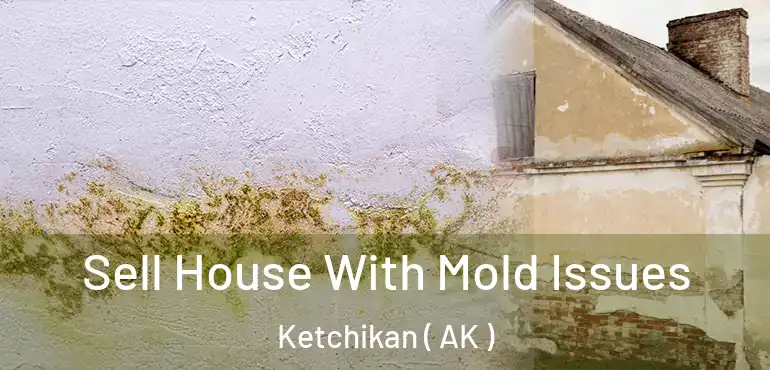  Sell House With Mold Issues Ketchikan ( AK )