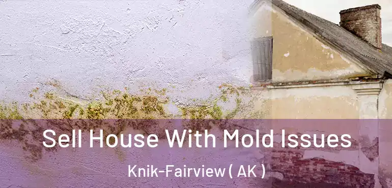 Sell House With Mold Issues Knik-Fairview ( AK )