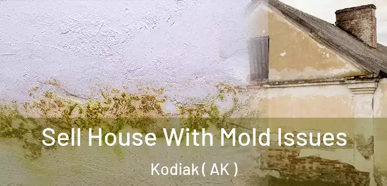 Sell House With Mold Issues Kodiak ( AK )