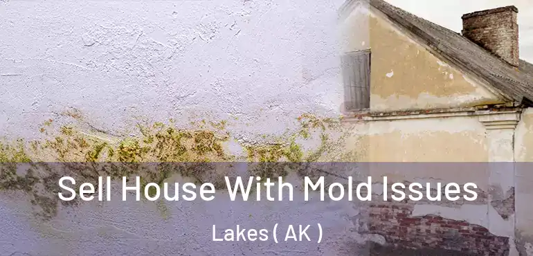  Sell House With Mold Issues Lakes ( AK )