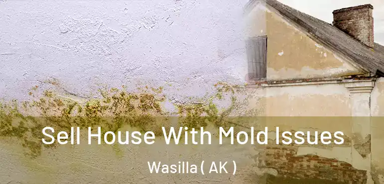 Sell House With Mold Issues Wasilla ( AK )