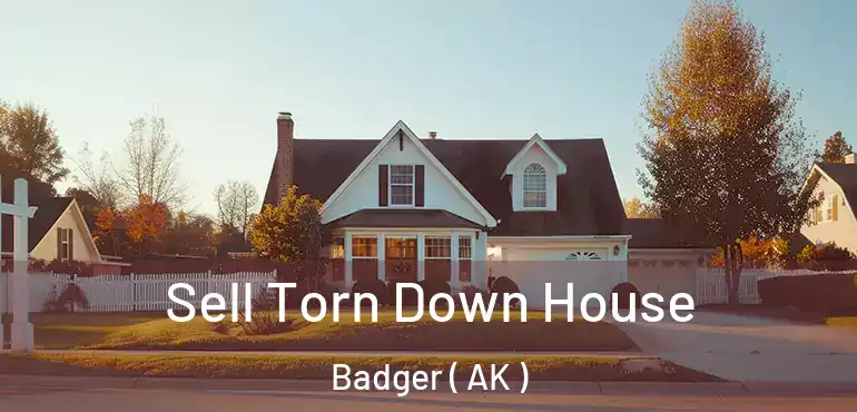  Sell Torn Down House Badger ( AK )